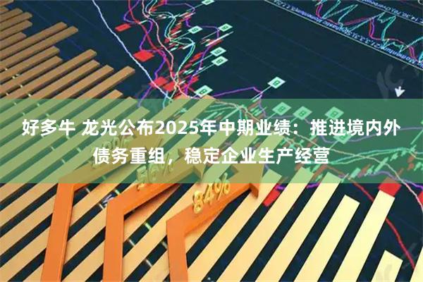 好多牛 龙光公布2025年中期业绩：推进境内外债务重组，稳定企业生产经营