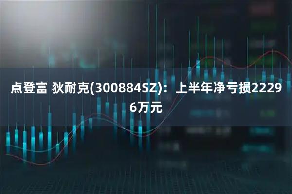点登富 狄耐克(300884SZ)：上半年净亏损22296万元