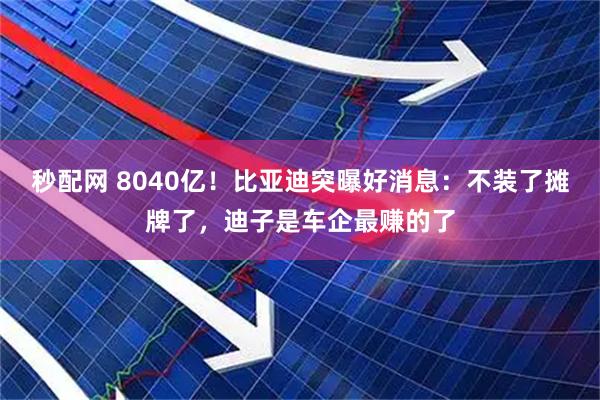 秒配网 8040亿！比亚迪突曝好消息：不装了摊牌了，迪子是车企最赚的了