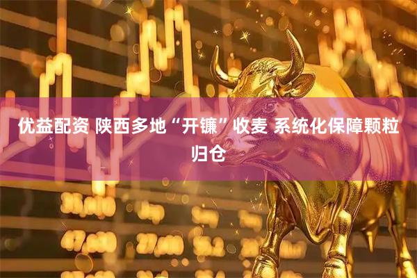 优益配资 陕西多地“开镰”收麦 系统化保障颗粒归仓