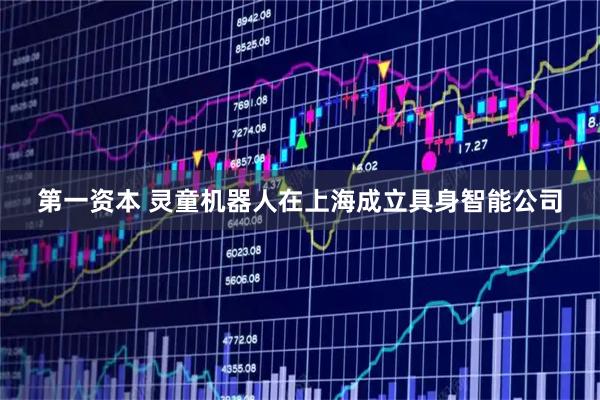 第一资本 灵童机器人在上海成立具身智能公司