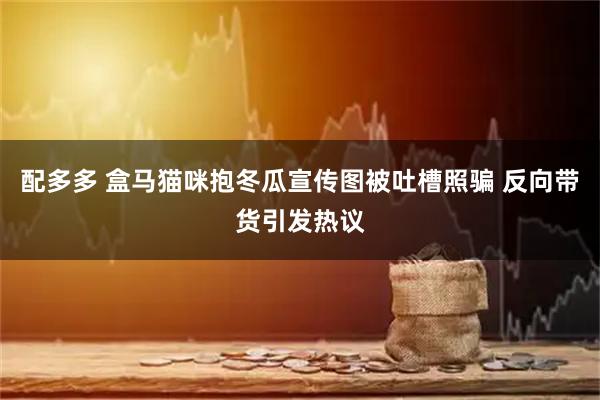 配多多 盒马猫咪抱冬瓜宣传图被吐槽照骗 反向带货引发热议